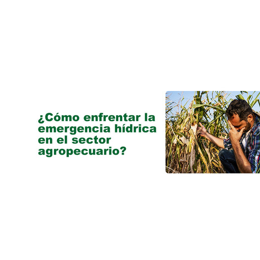 Enfrentando la emergencia hídrica en el sector agropecuario, soluciones a través de equipos agrícolas de riego