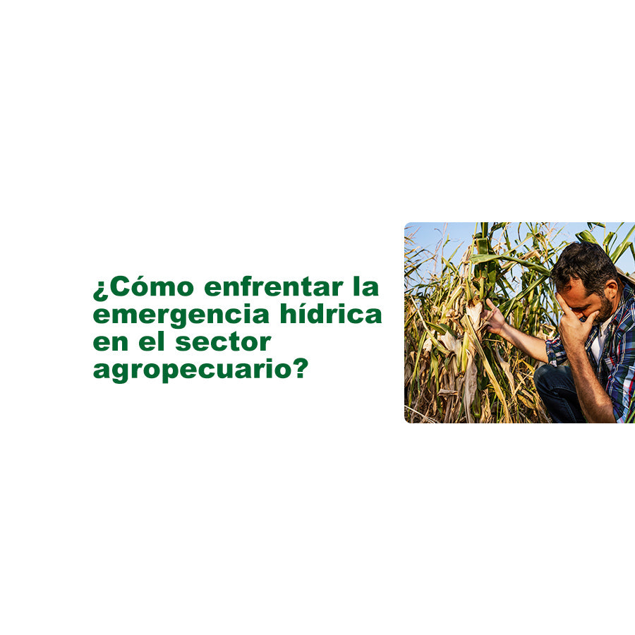 Enfrentando la emergencia hídrica en el sector agropecuario, soluciones a través de equipos agrícolas de riego