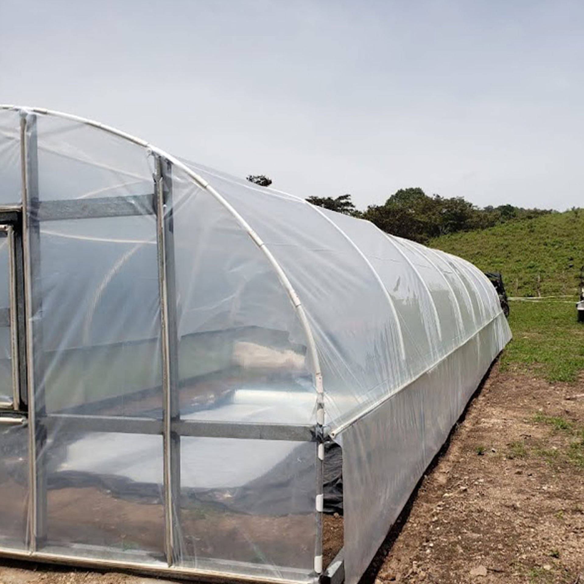 Pl stico Transparente Para Invernaderos E Hidrop nicos Torotrac pl-stico-transparente-para-invernaderos-e-hidrop-nicos-torotrac