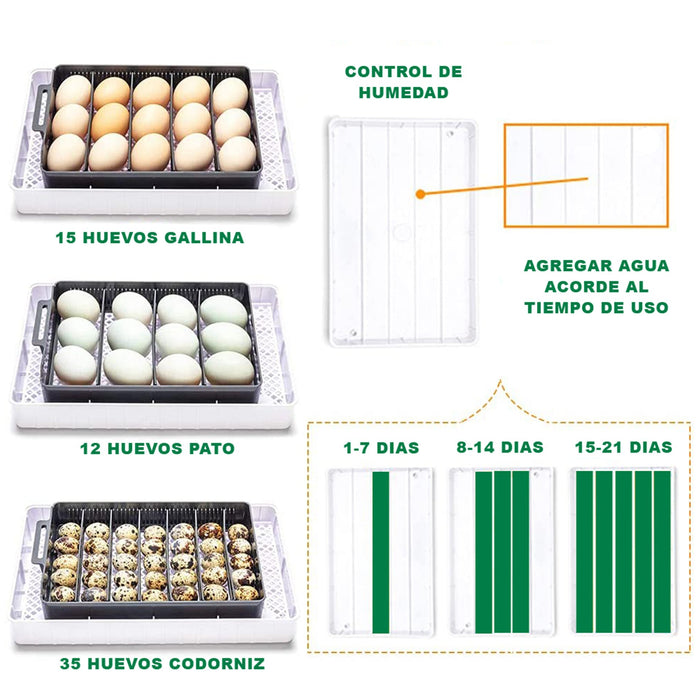 Incubadora Huevos 24 - Torotrac