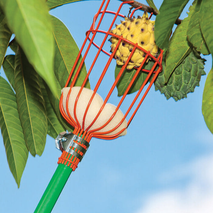 Recolector De Frutas Con Cesta - Para Manzanas, Naranjas, Sin Necesidad De Escalera